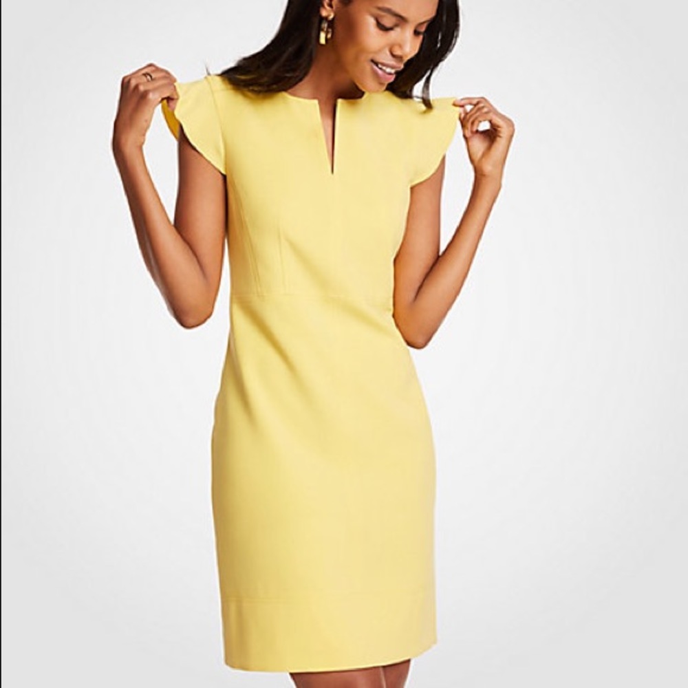 Ann Taylor flutter sheath dress ☀️